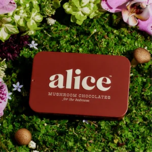 Alice Mushroom Chocolate