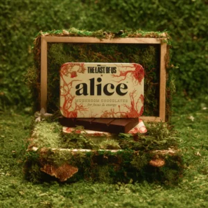 Alice Mushroom Chocolate