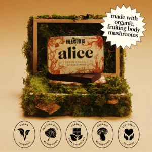 Alice Mushroom Chocolate