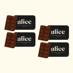 Alice Mushroom Chocolate