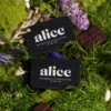 Alice Mushroom Chocolate