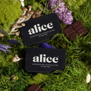 Alice Mushroom Chocolate