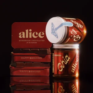 Alice Mushroom Chocolate