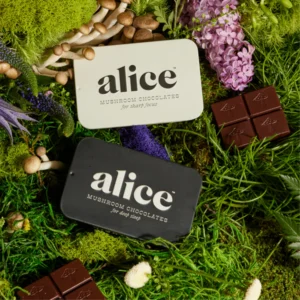 Alice Mushroom Chocolate