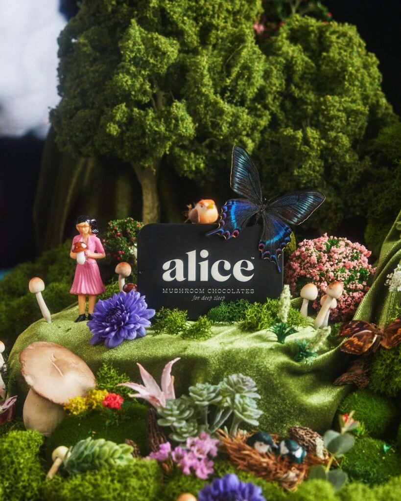 alice mushroom chocolate