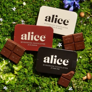 Alice Mushroom Chocolate